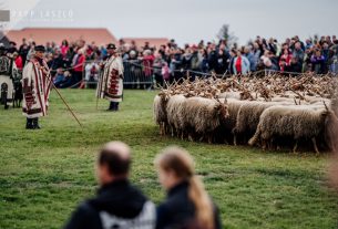 Rackajuhok a Hortobágyon