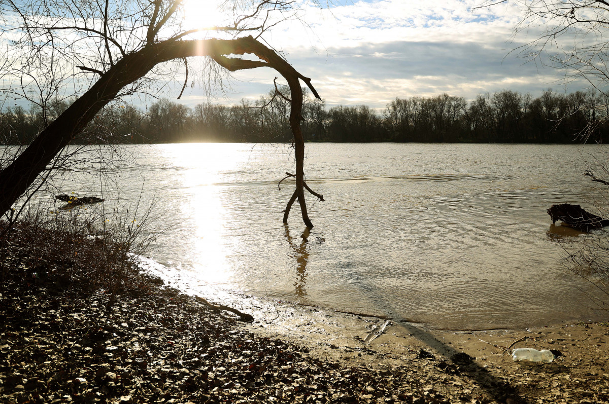 Szeged, Tisza, Tisza part, ártér, víz