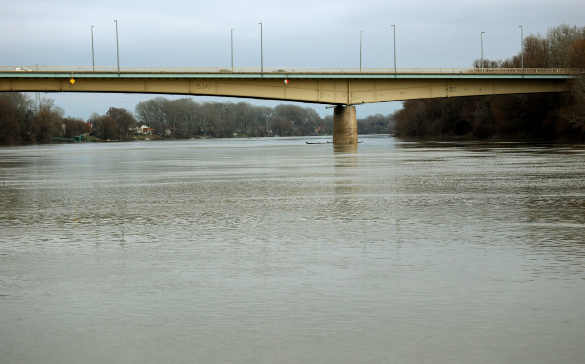 Tisza vízszint