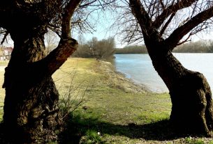 Szeged, Tisza, Sárga üdülő, szabadstrand, strand