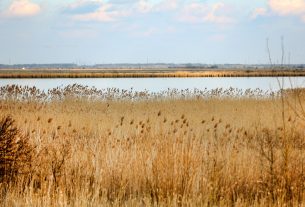 Pusztaszeri Tájvédelmi Körzet, Fehér-tó, természet, túra, kirándulás