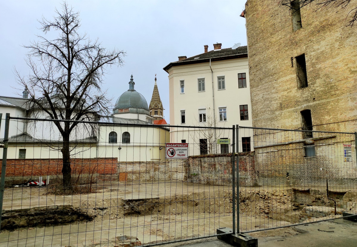 Szeged, Pollák Sámuel, Takaréktár utca, páfrányfenyő