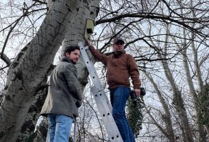 Denevér- és kuvik odút helyeztek ki a Future of Debrecen munkatársai a Boldogfalvi kertben