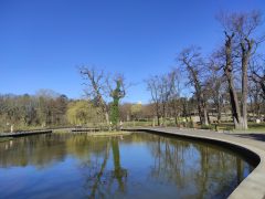 Virágző fák a tavaszi Nagyerdőn Debrecenben