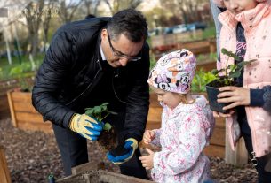 Papp László tócóskerti közösségi kert