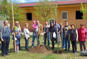 Több debreceni utcára ültettek facsemetéket