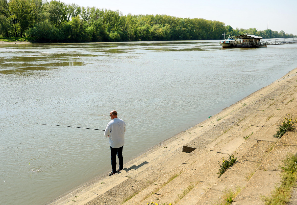 Szeged, Tisza, horgász, folyó, víz, természet