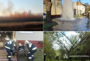 Beszorult egy őz, mély árokba zuhant egy férfi, lángolt egy méretes kuka és még a Nagytemplom vakolata is megbomlott a hétvégén