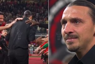 Zlatan Ibrahimovic visszavonult