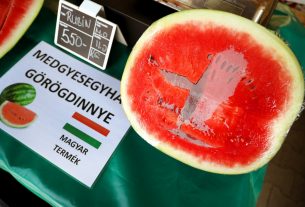Szeged, görögdinnye, dinnye, Mars tér, piac, szezon, nyár, gyümölcs