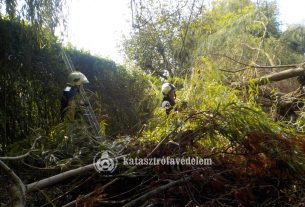 Lehasadt faágak adtak munkát a tűzoltóknak Debrecenben és környékén