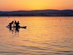 Balaton, sajkodi strand, strand, fürdőzés, nyár, nyaralás, turizmus