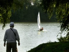 Szeged, vízi élet, vitorlás, kenu, motorcsónak, Tisza, hajó, természet, ősz, időjárás