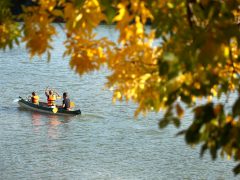 Szeged, vízi élet, vitorlás, kenu, motorcsónak, Tisza, hajó, természet, ősz, időjárás