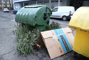 Szeged, kidobott fenyő, fenyőfa, Kemes utca, lakotelep