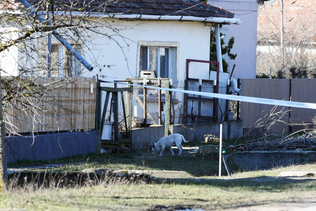 Gyilkosság Tószegen