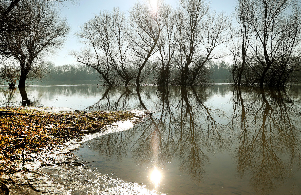 Szeged, hideg, fagy, időjárás, január, tél, Tisza