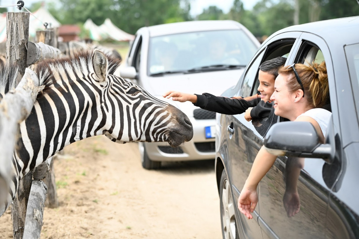 Húsvétkor nyit a Richter Safari Park.Fotó: safaripark.hu