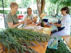 Szeged, Szegedi Tudományegyetem, SZTE, Füvészkert, Levendula és Rózsa Napok, levendula, rózsa, természet